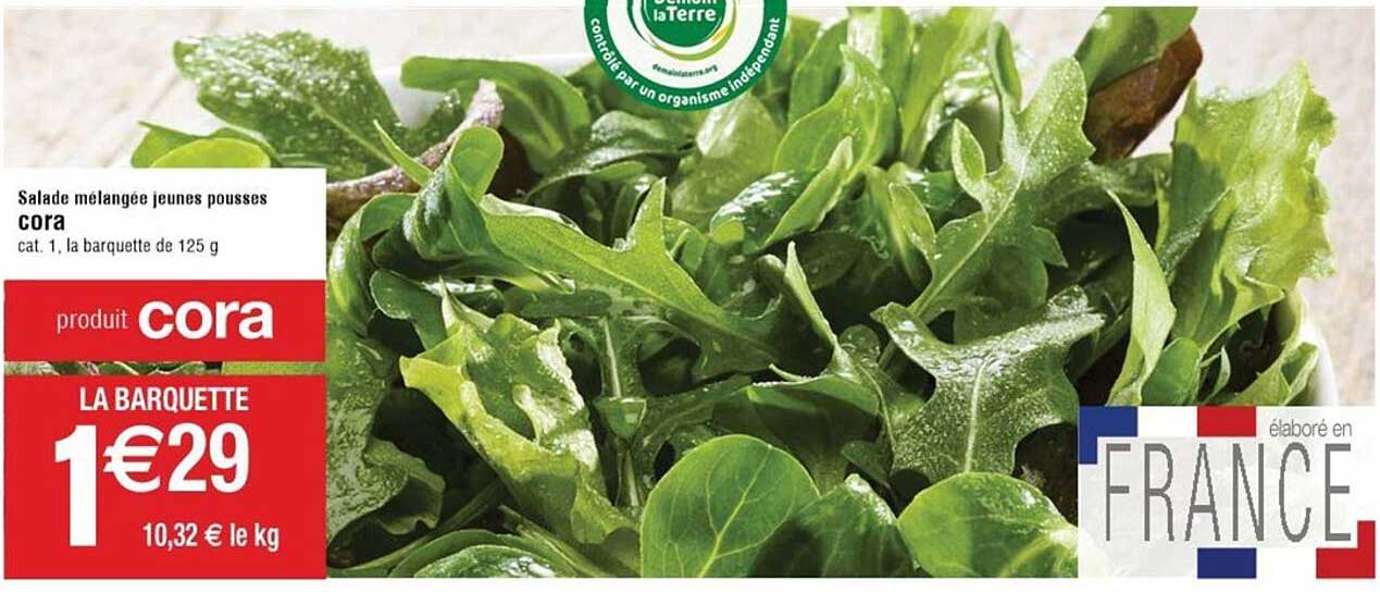 salade mélangée jeunes pousses cora