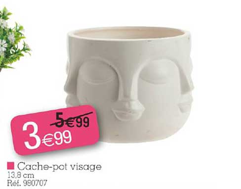 cache-pot visage
