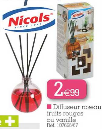 diffuseur roseau fruits rouges ou vanille nicols