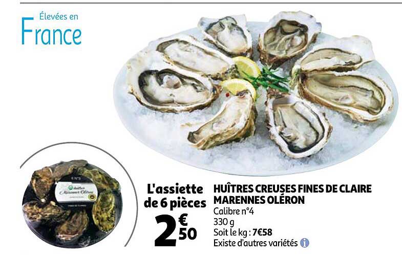 huîtres creuses fines de claire marennes oléron