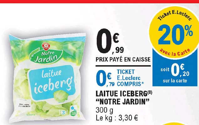 laitue iceberg "notre jardin"
