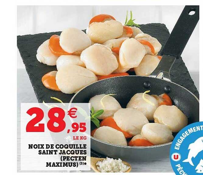 noix de coquille saint jacques (pecten maximus)