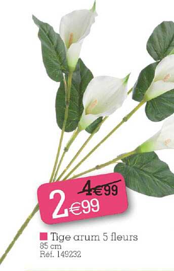 tige arum 5 fleurs