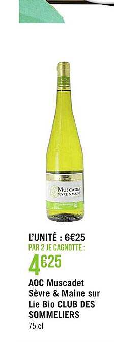 aoc muscadet sèvre et maine sur lie bio club des sommeliers