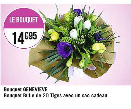 bouquet geneviève , bouquet bulle de 20 tiges avec un sac cadeau