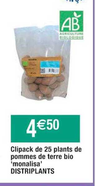 clipack de 25 plants de pommes de terre bio "monalisa" distriplants