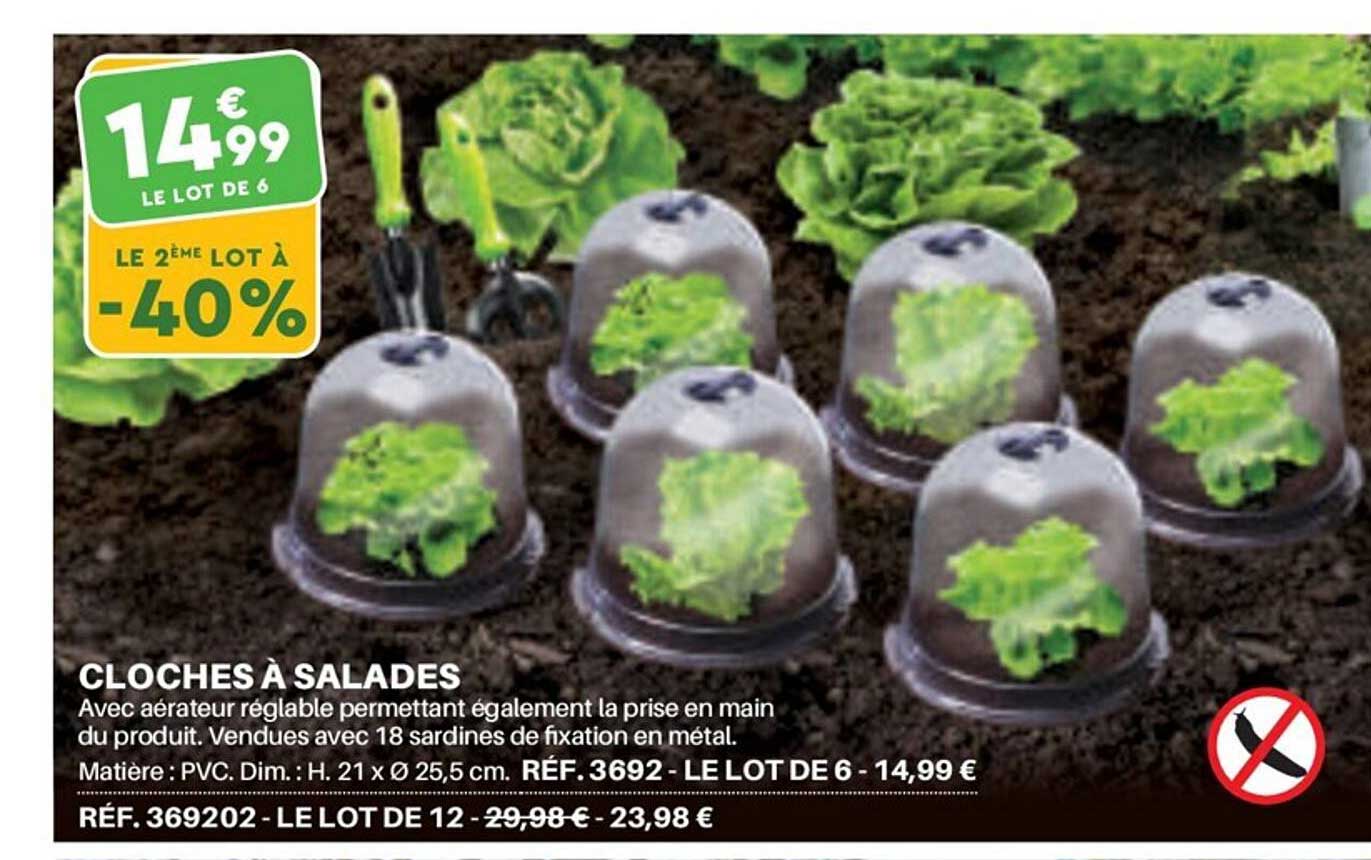 cloches à salades