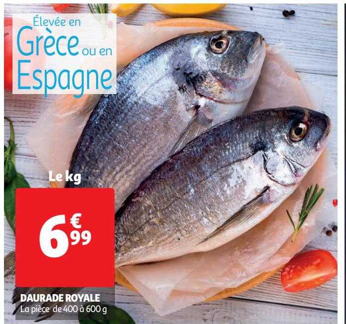 Daurade Royale
