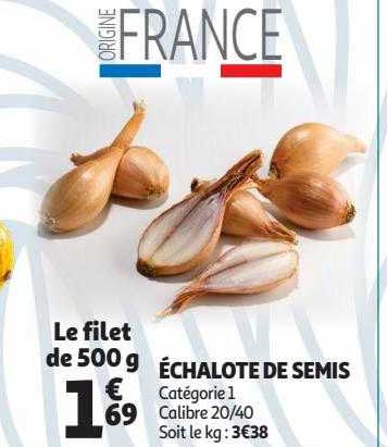 échalote De Semis
