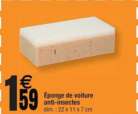 éponge de voiture anti-insectes