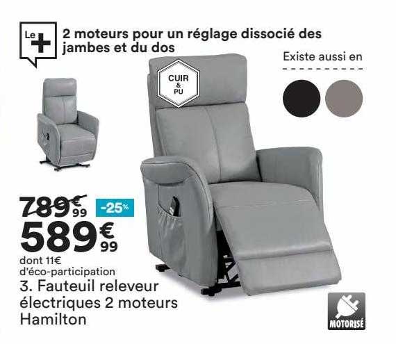 fauteuil releveur électriques 2 moteurs hamilton