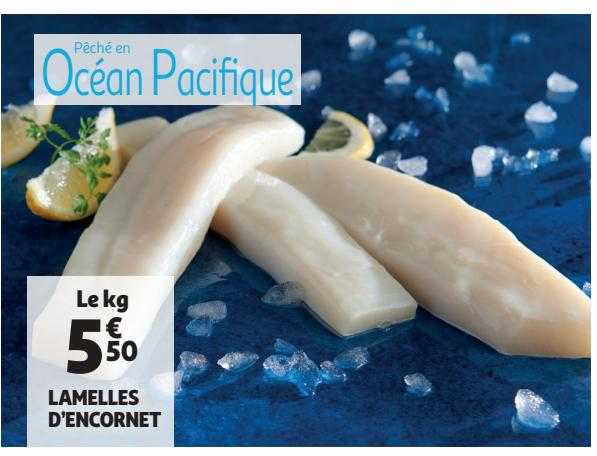 lamelles d'encornet