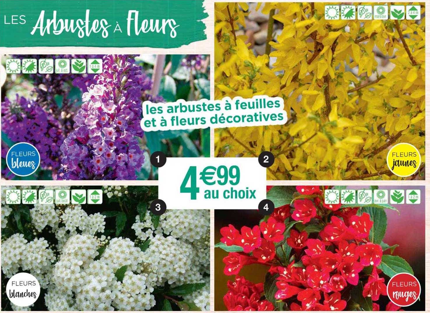 les arbustes à feuilles et à fleurs décoratives
