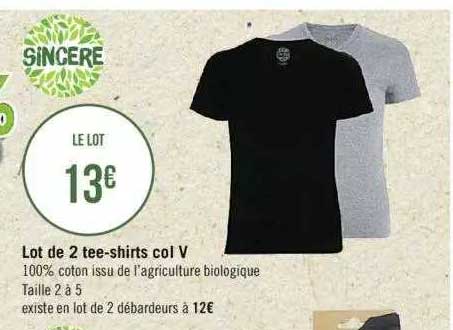 lot de 2 tee-shirts col v sincère