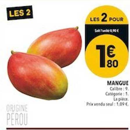 Mangue