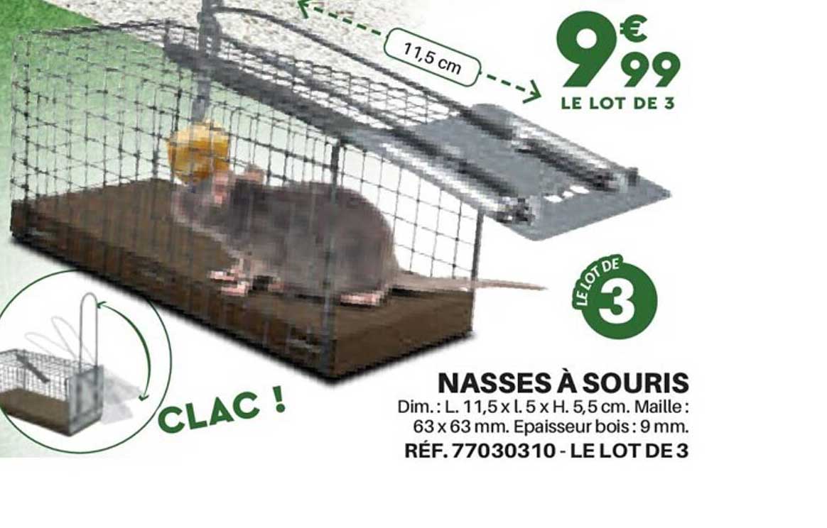 nasses à souris
