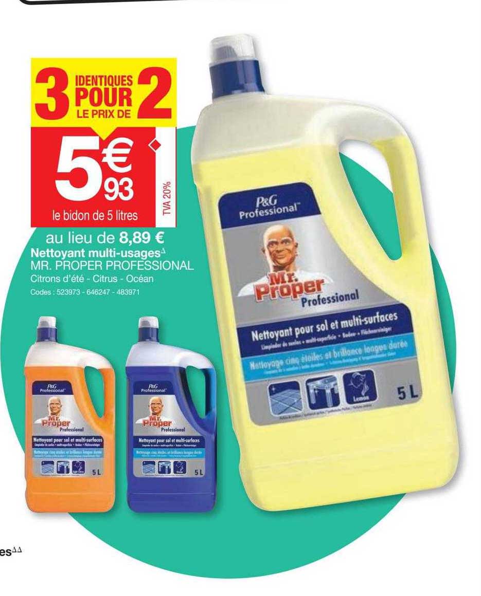 nettoyant multi-usages mr. proper professional