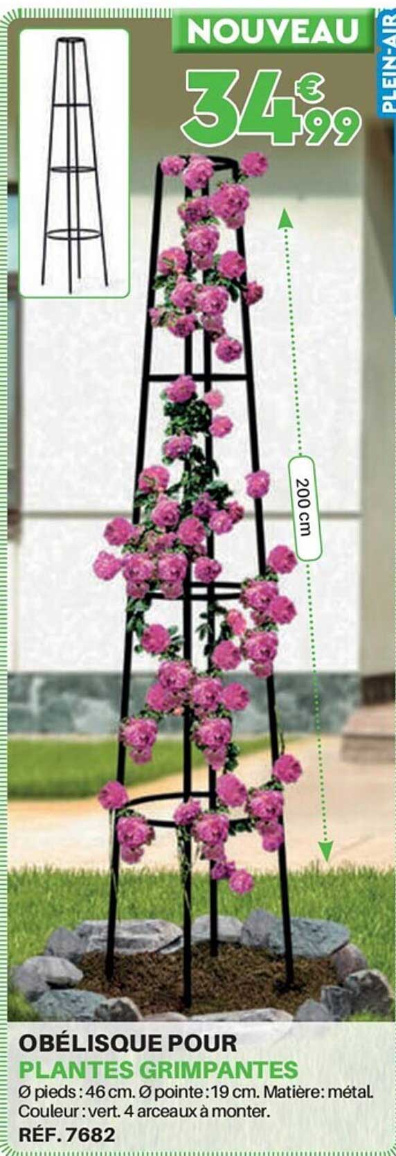 Obélisque Pour Plantes Grimpantes