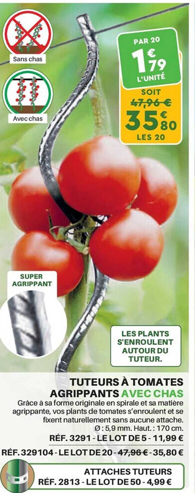 Tuteurs à Tomates Agrippants Avec Chas