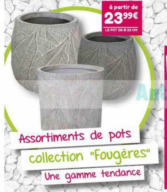 assortiments de pots collection "fougères"