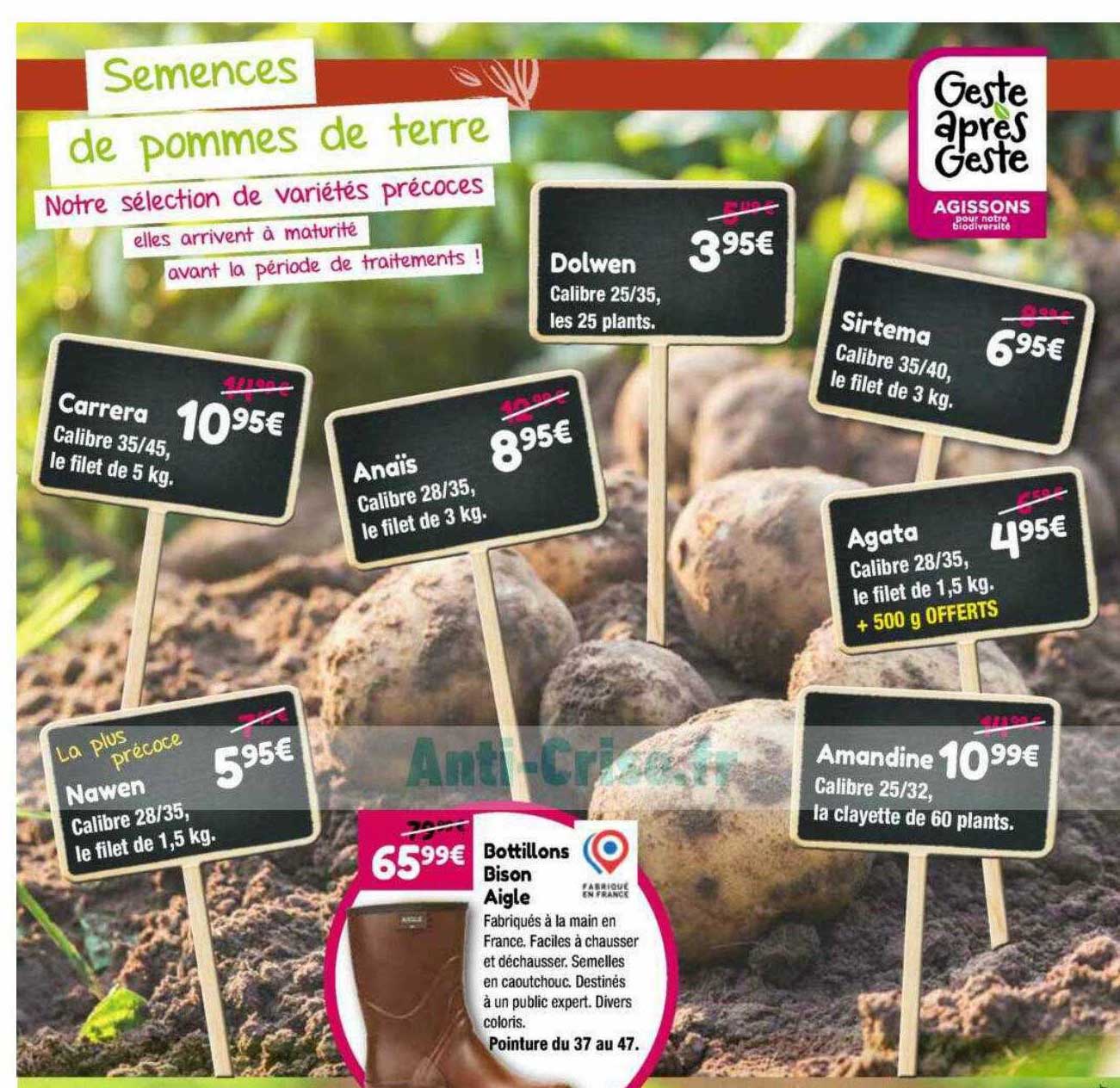 carrera, anaïs, dolwen, sirtema, agata, nawen, amandine, bottillons bison aigle