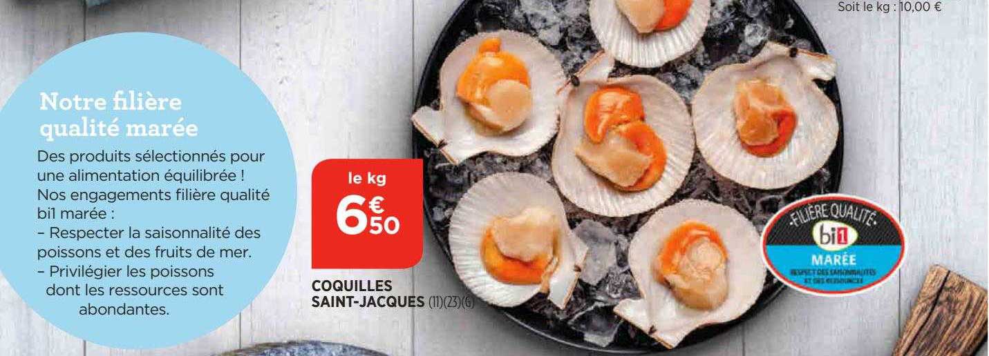 coquilles saint-jacques