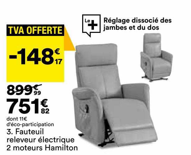 fauteuil releveur électrique 2 moteurs hamilton