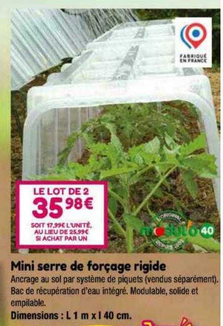 mini serre de forçage rigide