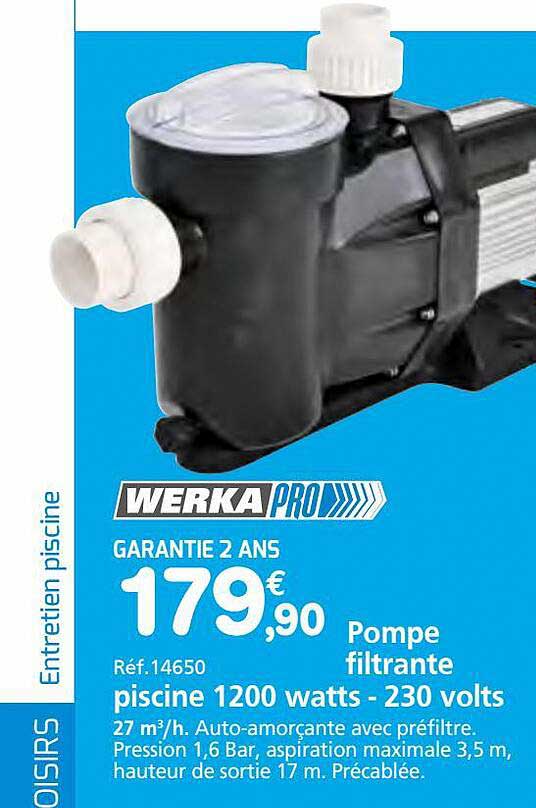 pompe filtrante piscine 1200 watts - 230 volts werka pro