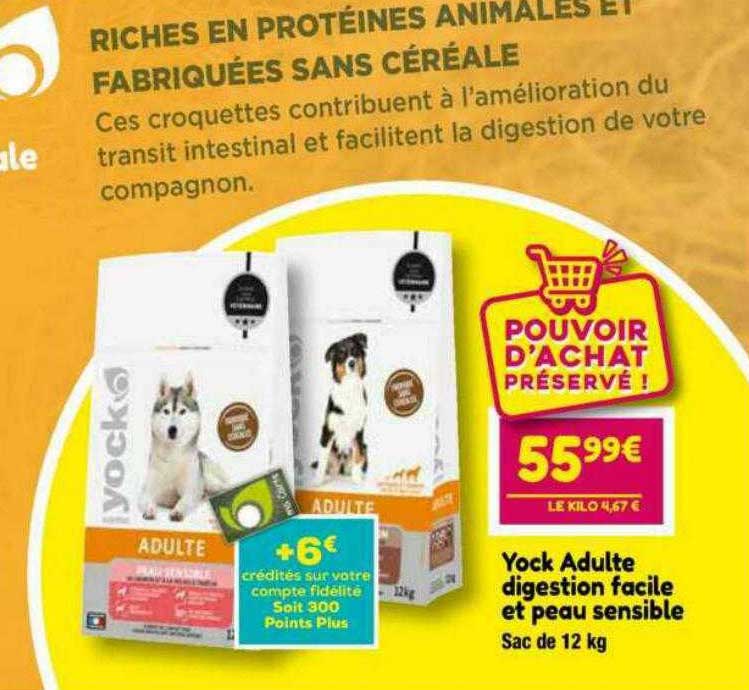 yock adulte digestion facile et peau sensible