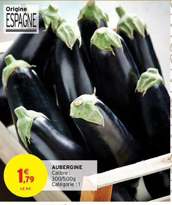Aubergine