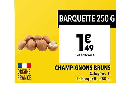 champignons bruns
