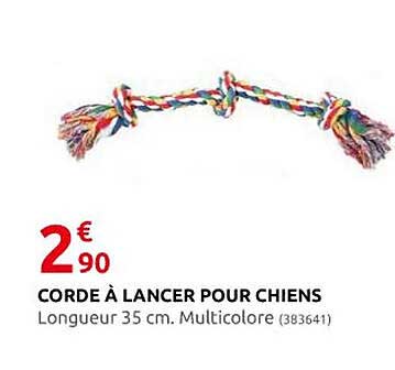 corde à lancer pour chiens