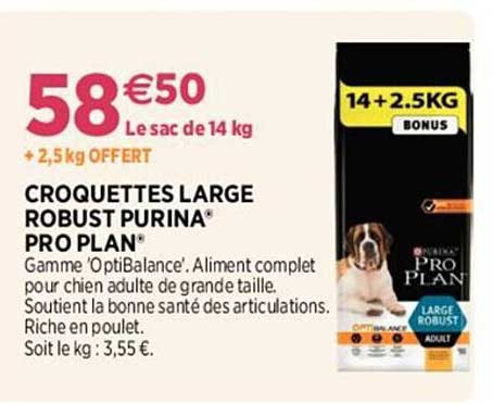 croquettes large robust purina pro plan