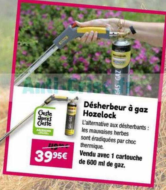 désherbeur à gaz hozelock