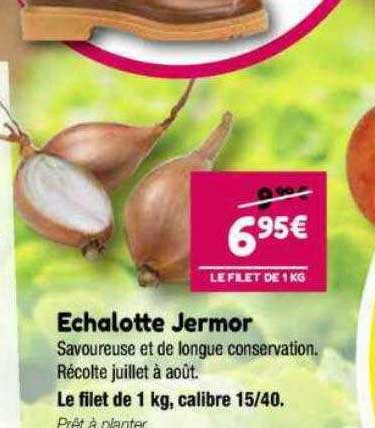 échalotte Jermor