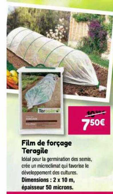 film de forçage teragile