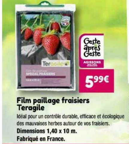 film paillage fraisiers teragile
