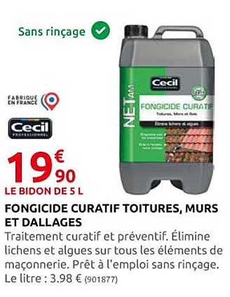 fongicide curatif toitures, murs et dallages cecil
