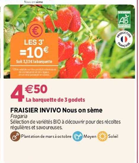 fraisier invivo nous on sème