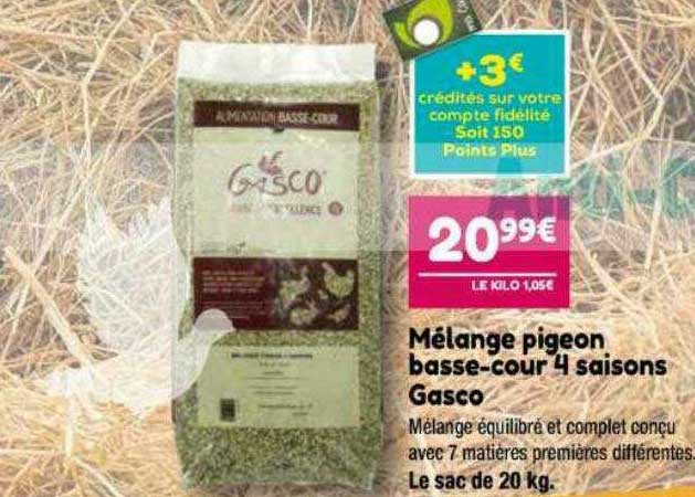 mélange pigeon basse-cour 4 saisons gasco