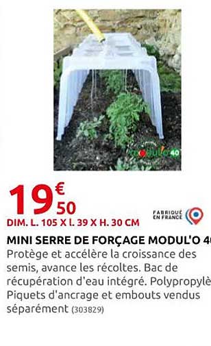 mini serre de forçage modul'o