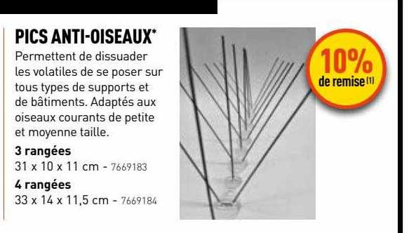 pics anti-oiseaux