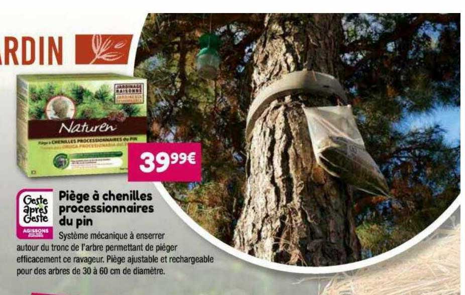 piège à chenilles processionnaires du pin naturen