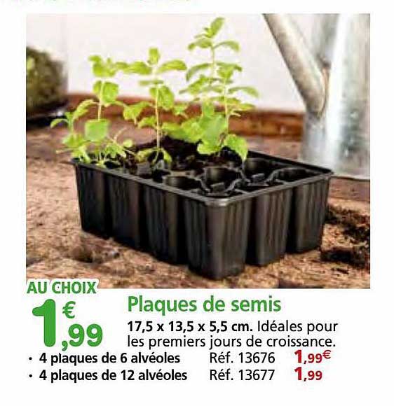 plaques de semis