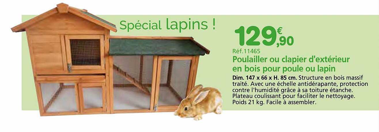 poulailler ou clapier d'extérieur en bois pour poule ou lapin