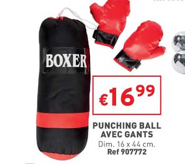 punching ball avec gants