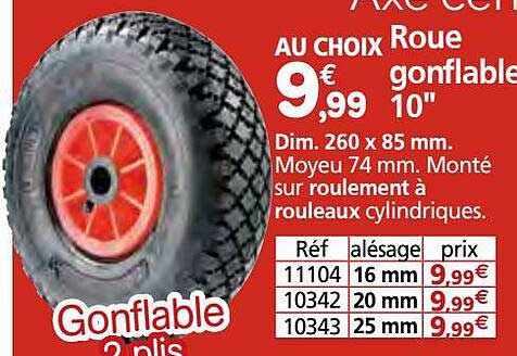 Roue Gonflable 10"