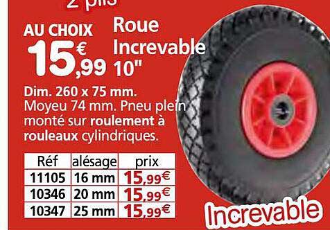 roue increvable 10"