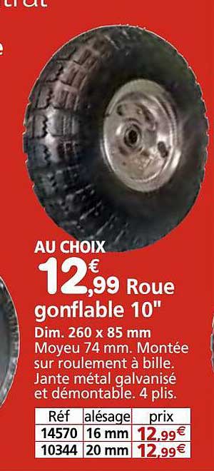 Roue Gonflable 10"